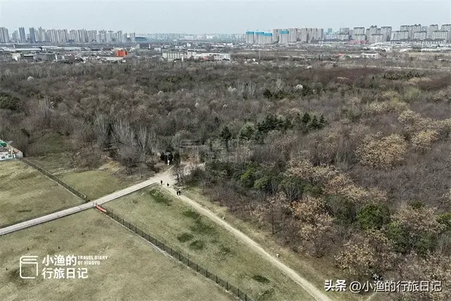 西安“天下第一宫”，是世界最大宫殿基址，面积相当2/3个故宫