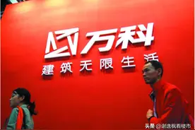 谢逸枫：揭秘万科债务拆解图片