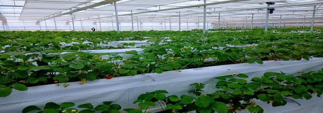 2024年寻美黄冈 网络大V黄冈行主题活动路线小揭秘