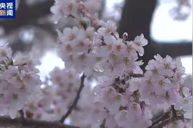 江西14地出现降雪图片