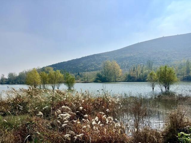 宿州私藏了个“小九寨沟”！就在萧县官桥镇，美到犯规！