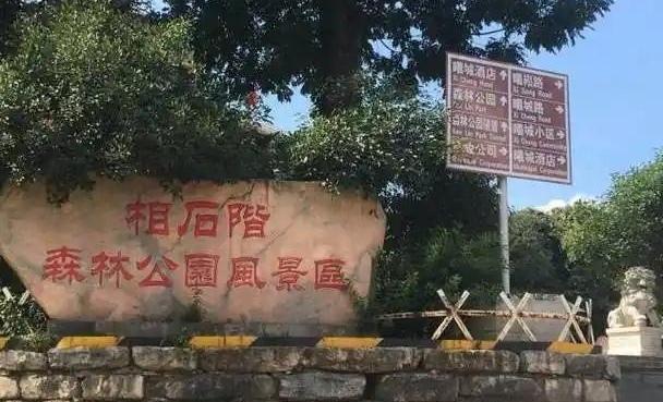 [云南 曲靖市罗平县]