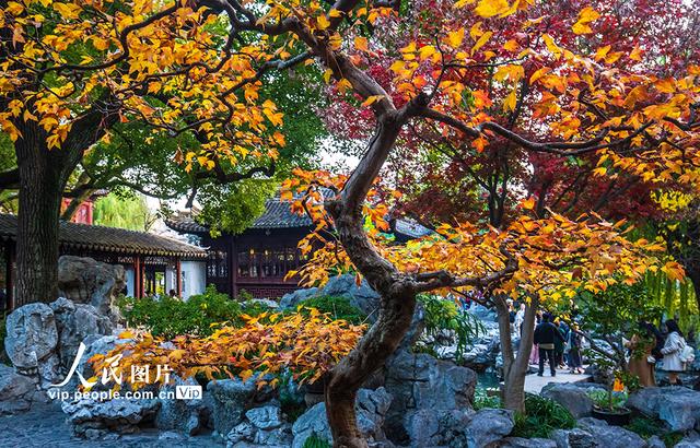 上海：豫园色彩斑斓迎客来