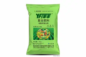 我国十大复合肥品牌介绍图片