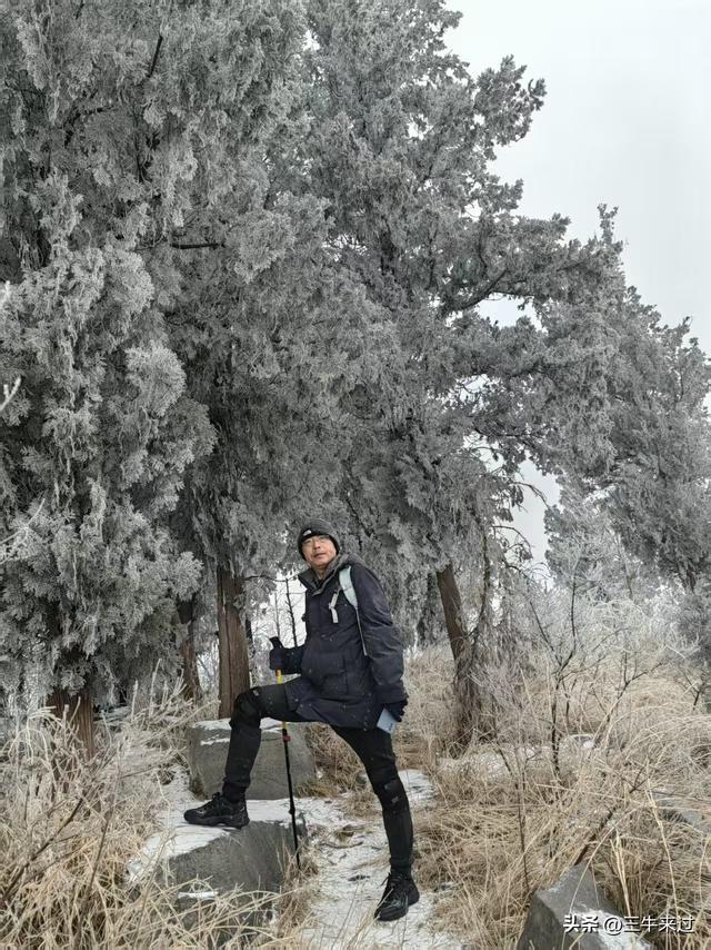 无为在歧路，何处寻雾凇