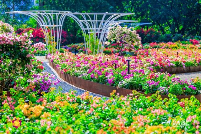 挤爆了！今天莲花山都是人人人，网友：感觉全深圳都来了！