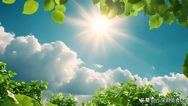 7月20入伏，老人说：闰月伏穿棉衣，今年三伏天在闰六月，早准备