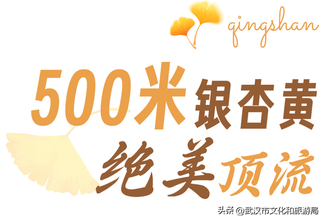 大降温后，青山最美冬景即将上线！