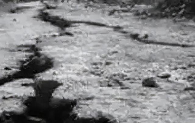 中国历史上最大的地震不是在汶川，也不是唐山，而是在山东