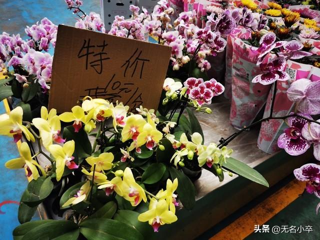 刚从云南昆明旅游回来，这三件事真的让我意想不到，尤其是第三件