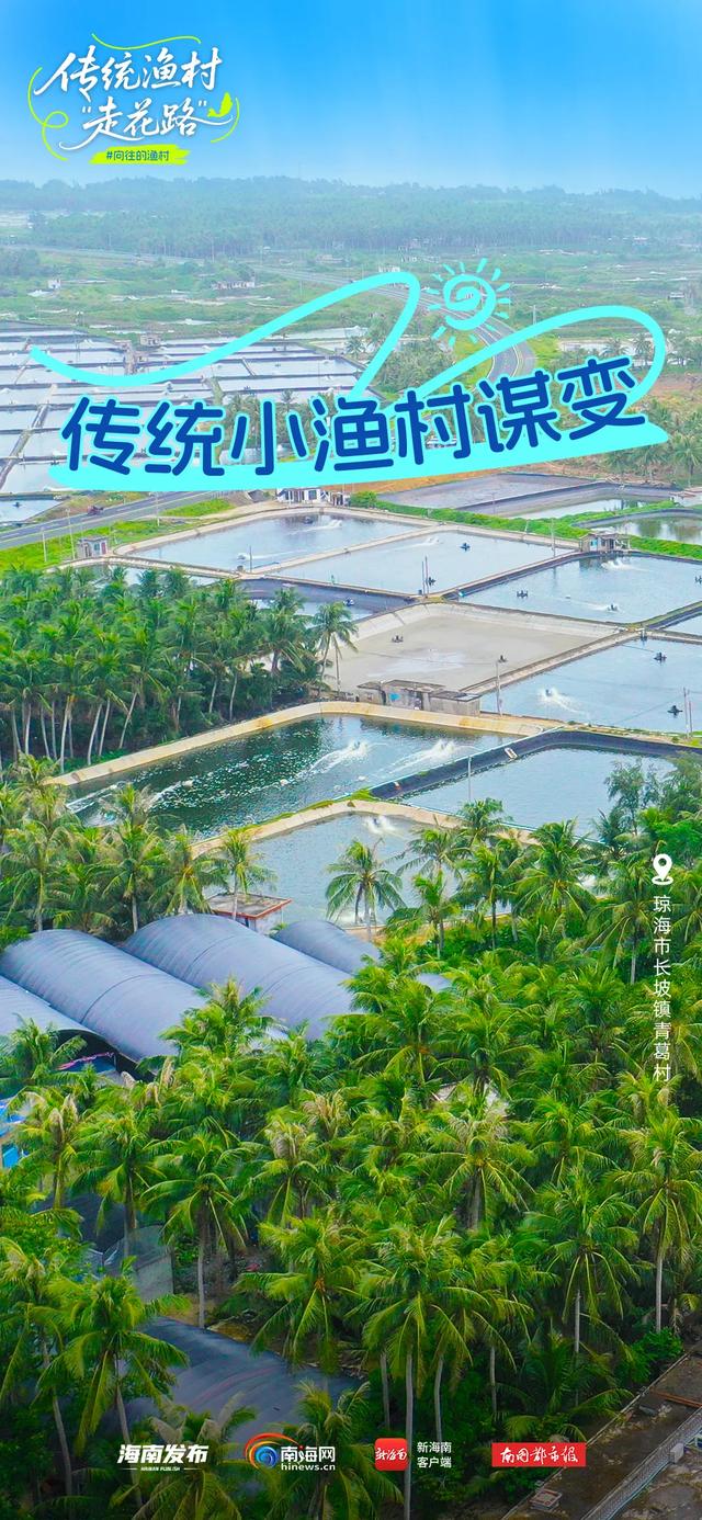 抓住暑假的“尾巴”，去看琼海传统渔村如何“走花路”→