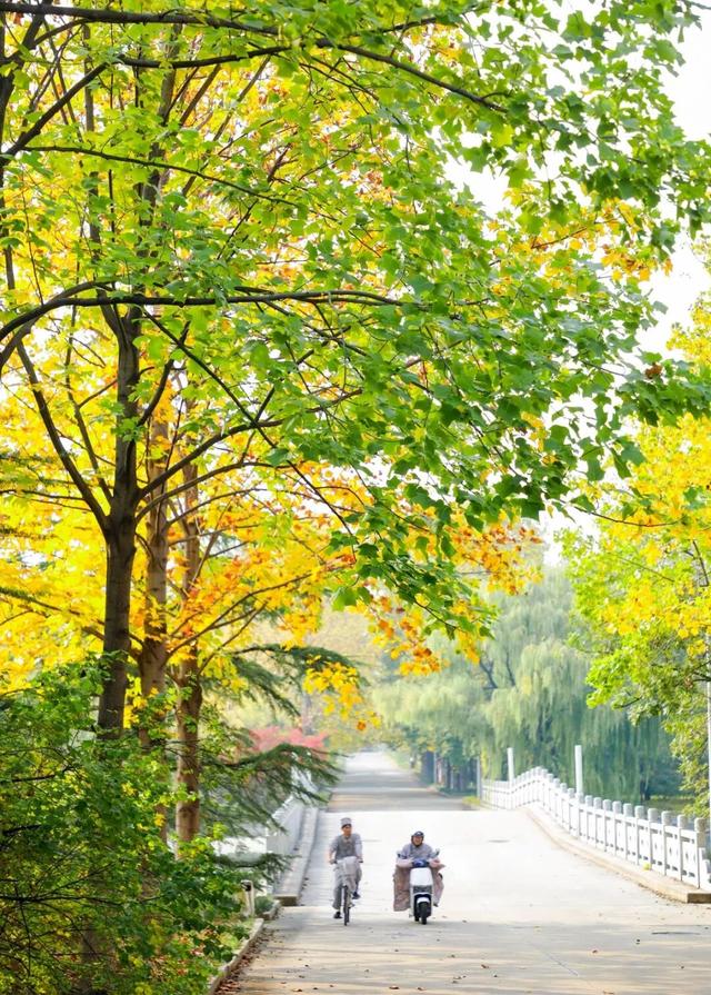 【多图预警！】这里不是5A景区，是鲁南制药！