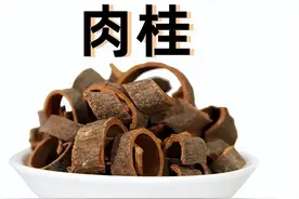 每日学一味中药--肉桂图片