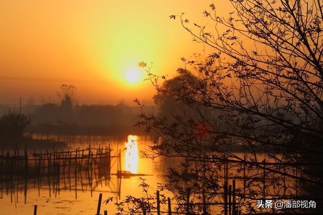 冬日的无锡白米荡风光