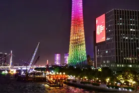 最近，“小蛮腰”有点忙！图片