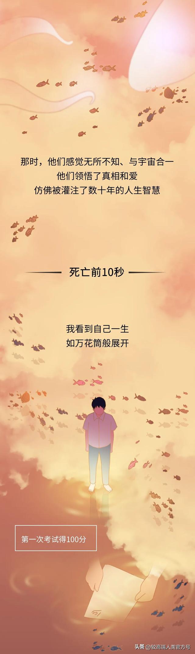 死亡前的30秒	，人会看见什么？