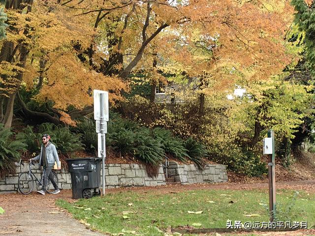 温哥华游记（五）