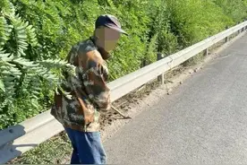 行人禁止上高速 勿用生命“走捷径”图片