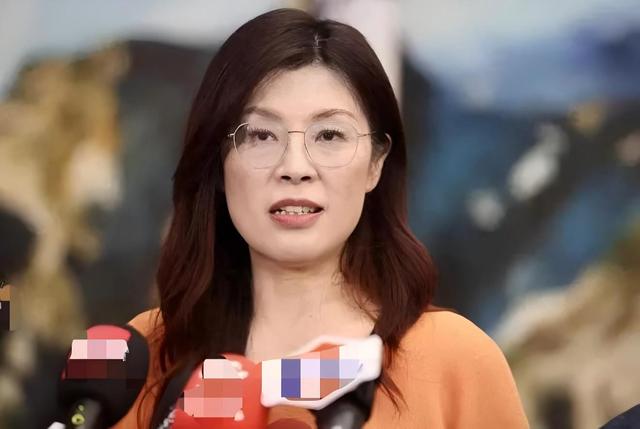 终于谈完了，蒋万安离开大陆，临走前告知两岸	，民进党将全面管制