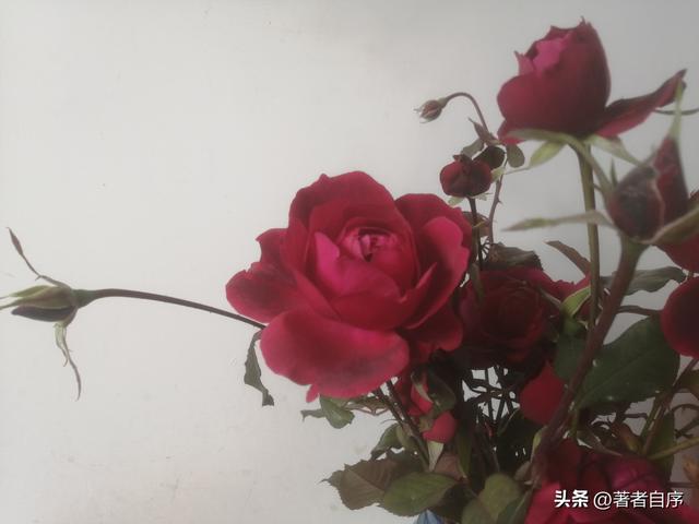 聚焦行为 深耕课堂一一教务处阶段性教学工作总结