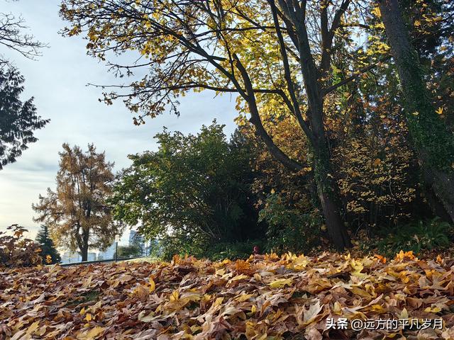温哥华游记（四）