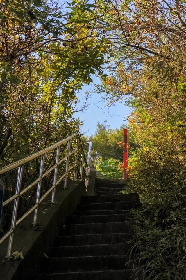 别等了！石景山的秋，已悄悄递来邀约信号
