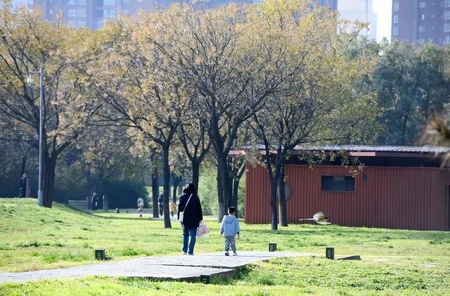 西安大明宫里邂逅初冬暖阳