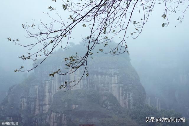 江西有座神奇的“无蚊村”，依山傍水无蚊子，樟树艾草筑天然屏障