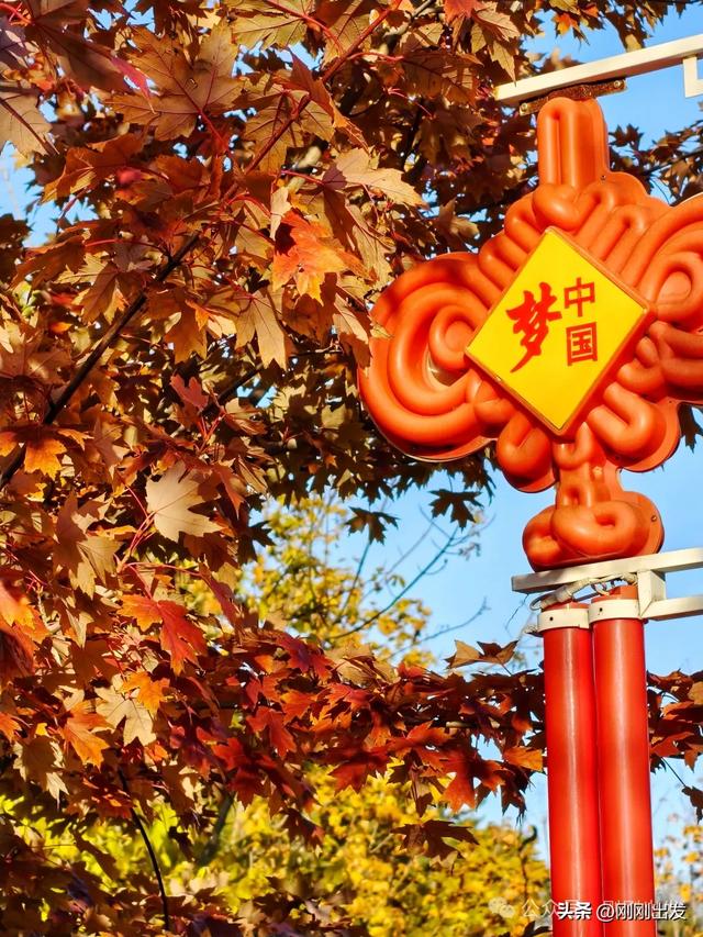 公交直达,大连这个免费公园枫叶正当时,赏秋好地方