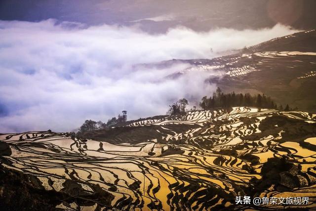 元阳梯田：大地曲线里的千年秘境，五大打卡点解锁地球最美光影