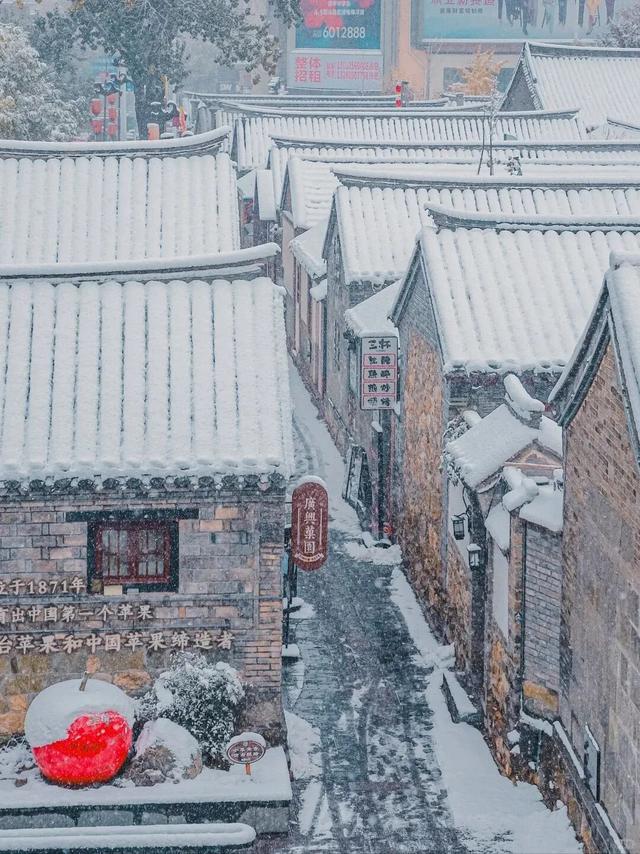 初雪来了！烟台“冰雪世界”美出新高度