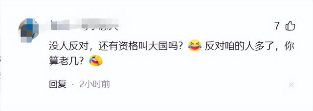 笑死！韩国网民问：首尔举行反华游行，为什么中国人没有感到紧张