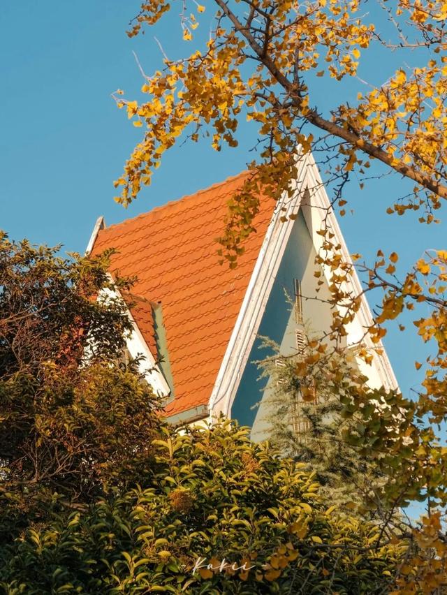 6处入选！市南绝美表白地，是一眼沦陷的程度！