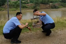 西安经开区开展打击整治破坏野生动植物资源违法犯罪专项行动图片