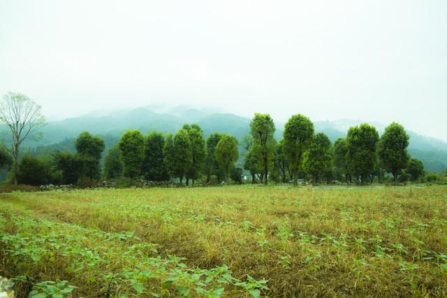 人到中年，最怕的不是失败，是忽然看清自己