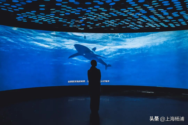 杨浦这些景点“限时优惠”，你去过几家？