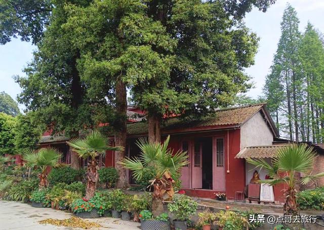 成都郫都区被冷落的寺庙，温馨充满人间烟火，公交车可到达！