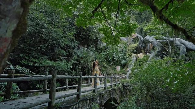 暂别川西！乐山黑竹沟已经美到神仙级！