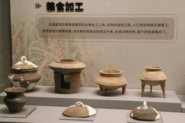 触摸仰韶：在渑池博物馆遇见华夏文明的第一缕曙光