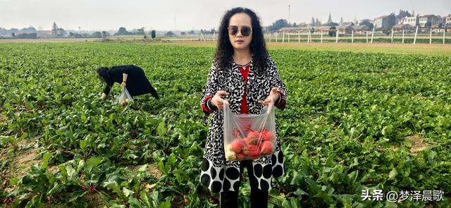 周末新玩法：云梦博物馆看秦简，新马村拔萝卜，武汉家庭乐翻天