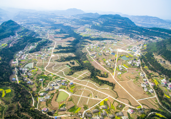四川省苍溪县历史沿革及行政区划