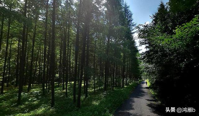 漫话九十年代前的关门山那时还是一座林场一切都是原生态