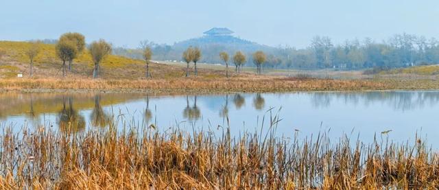 赏秋登高正当时！丰台这些好去处——