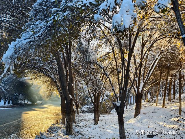 新疆乌鲁木齐红光山大佛寺