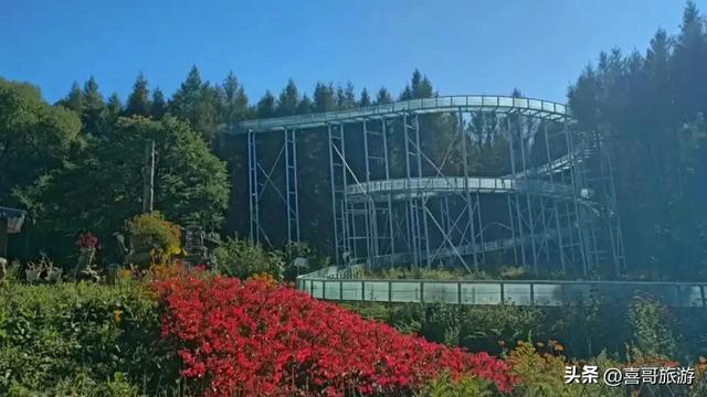 黑龙江香炉山国家森林公园：冰城之畔的原始秘境