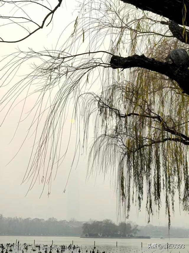 新华社原军事记者陶俊峰泉城美拍：《冬雾中的大明湖》