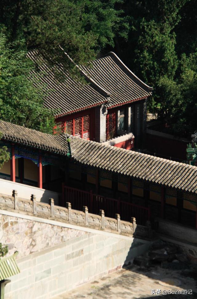 打卡香山寺，800年古松伴殿宇，10元超值！