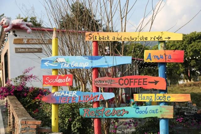 格桑花、紫花风铃木、雪白油茶花……肇庆这里太美了！