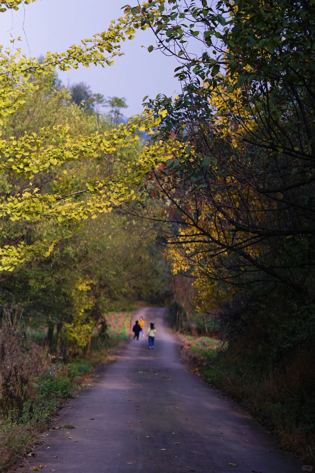 成都西门1h小众免费徒步地，野趣十足、值得N刷！