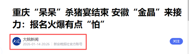 呆呆妹也没想到，杀猪宴结束才1天	， 一家人已走上了大衣哥的老路